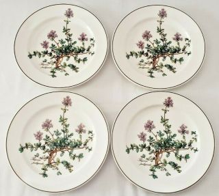 Villeroy Boch Botanica Luxembourg Four Salad Plates Thymus No Root 8 - 1/4 "
