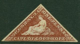 Sg 18c Cape Of Good Hope 1855 - 63.  1d Brownish - Red.  Lightly Mounted,  Full Marg.