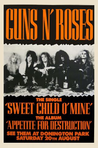Guns & Roses At Dorrington Park England Uk Concert Poster 1987 12x18