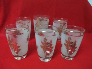 Set Of 6 Vintage 1960’s Libby Frosted Gold Leaf Tea/water Glasses
