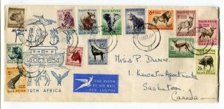 South Africa 1954 Wildlife / Animals - Multiple Franking - Cachet Fdc Cover -