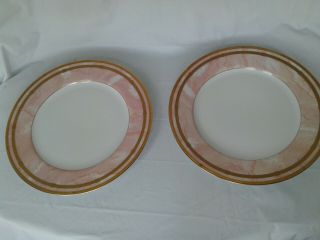 Christian Dior Marbre Rose 2 Dinner Plates 10 7/8 " Pink Marble Rim Gold Trim