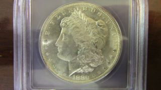 1880 S Morgan Silver Dollar $1 Icg Ms66