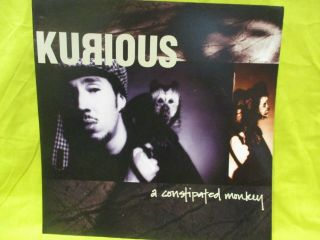Kurious A Constipated Monkey 12 " X 12 " Record Store Promo Poster