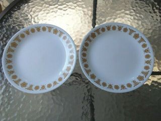 Vtg Corelle Butterfly Gold Luncheon Salad Plate 8.  5 " Set Of 2 Pyrex Corning