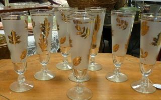 Vintage Mid - Century Modern Libbey Frosted Gold Leaf Set Of 8 Pilsner Glasses