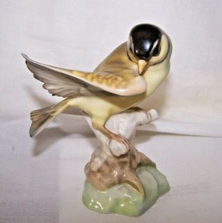 Selb Hutschenreuther Porcelain Yellow Bird On Branch Figurine Kunst - Germany