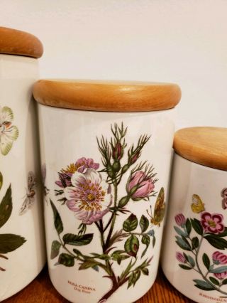 Portmeirion The Botanic Garden Circa 1818,  Set Of 3 Canisters Made In England 3