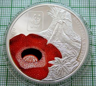 Central African Rep 2015 100 Francs Cfa,  Rafflesia Flower - Wwf Coloured Capsule
