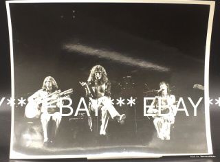 1977 Led Zeppelin Jimmy Page Robert Plant Madison Square Garden Photograph