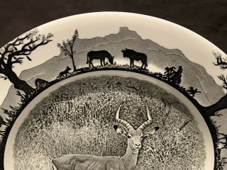 Wedgwood Kruger National Park Impala Salad Plate 8 1/4 