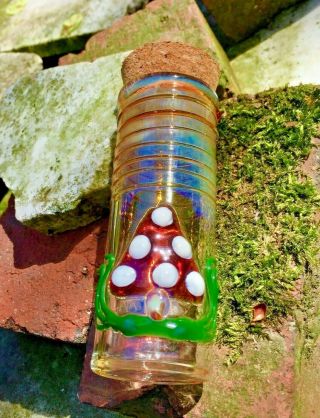 Mushroom Scene Glass Jar Great For Pipe Tobacco And More.  Made In The Usa