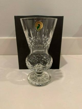 Waterford Crystal Lismore 7 " Thistle Vase/new