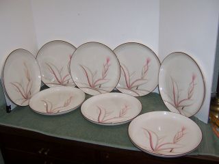 8 Winfield Porcelain China Dragon Flower Dinner Plates
