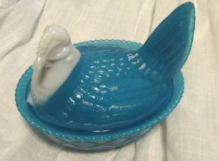 5 " Chicken Hen On Nest Glass Dish Westmoreland Blue Opaque W White Head