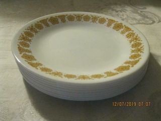 8 Corelle Corning Ware Butterfly Gold Desert /pie / Bread & Butter Plates 6 3/4 "