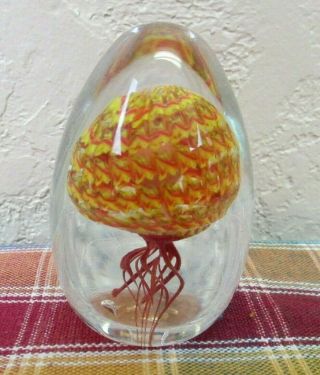 North Shore Glass Of Hawaii Jellyfish Art Paperweight - Signed,  1995