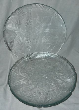 Set Of 4 Arcoroc Canterbury Crocus Clear Glass Dinner Plates 10.  5 " Euc