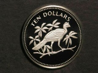 Belize 1974 $10 Great Curassow Silver Choice Proof