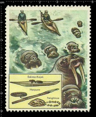 German Poster Stamp Vignette Cinderella,  Hunting Walrus,  Eskimo,  Kayak,  Harpoon.