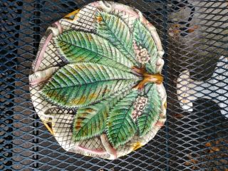 Grand Antique Majolica Serving Dish Platter Tobacco Leaf Pattern? Etruscan Large
