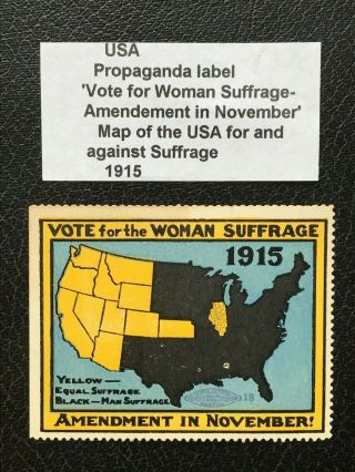 1915 Vote For Woman Suffrage Amendment Usa Poster Stamp - Ref272