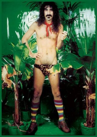 Frank Zappa - Leopard Skin Poster 24 " X 36 "