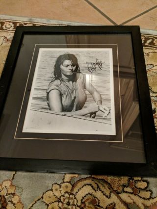 Sophia Loren Signed And Framed 10x8 Photo