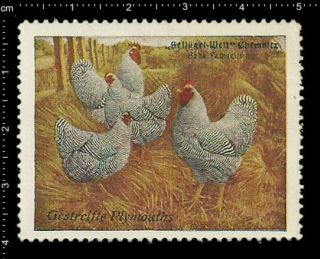 German Poster Stamp Cinderella Poultry Chemnitz Striped Plymouth Chicken Rooster