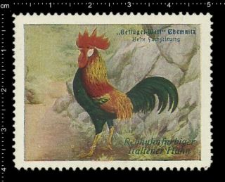 Old German Poster Stamp Vignette Cinderella Poultry Chemnitz Italian Rooster.