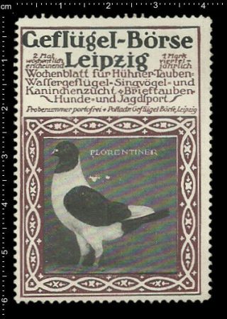 German Poster Stamp Vignette Cinderella Leipzig Poultry Bird Florentine Pigeon.