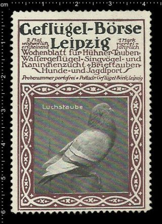 German Poster Stamp Vignette Cinderella Leipzig Poultry Bird Luchstaube Pigeon.
