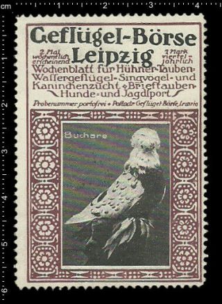 Old German Poster Stamp Vignette Cinderella Leipzig Poultry Bird Buchare Pigeon.