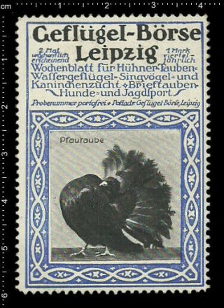 Old German Poster Stamp Vignette Cinderella,  Leipzig Poultry Bird Fantail Pigeon