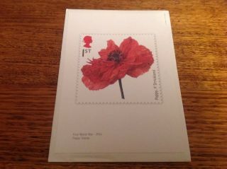 Gb 2014 Royal Mail " 1st Class Poppy Stamp.  " A5 Print.  Limited Edition.