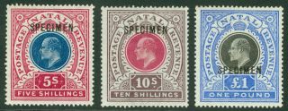 Sg 140s/2s Natal 1902.  5/ -,  10/ - & £1 Values.  Lightly Mounted,  10/ - Unmounted.