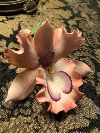 Capodimonte Fabar Pink Orchid Flower - Made In Italy - Small Chip
