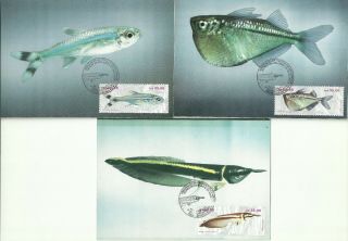 Brazil 1988 - Maxicards Fish