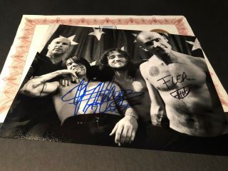 Red Hot Chili Peppers Signed 10x8 Photo Authentic Autograph With