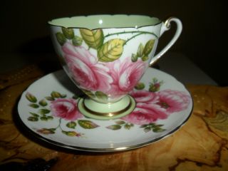 Shelley England Tea Cup Saucer " Rambler Rose " Lime Green