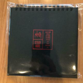 STRAY KIDS HI - STAY TOUR FINALE IN SEOUL mini standing photocard album case goods 2