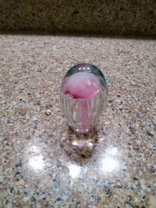 Dynasty Gallery 1951 Heavy Glass Paperweight With Pink Jellyfish