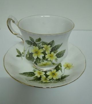 Paragon Tea Cup & Saucer Flower Festival - Fine Bone China England Reg 