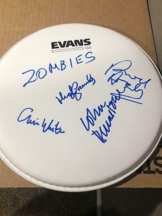 The Zombies Group Signed Autographed Drum Head 4 Sigs