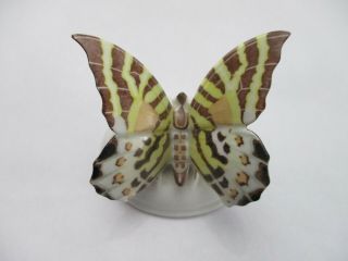 Vintage Rosenthal Germany Hand Painted Butterfly Figurine Artist Signed