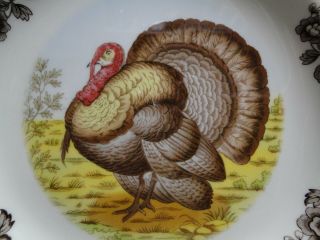 Spode Woodland Turkey Game Bird,  England: Dinner Plate (s),  10 3/4 