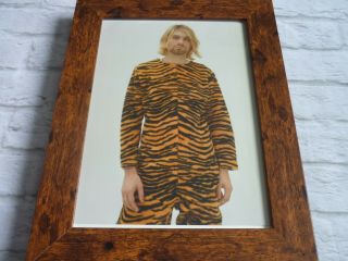 Framed A4 Kurt Cobain Poster Nirvana Classic Music Memorabilia Tiger Suit
