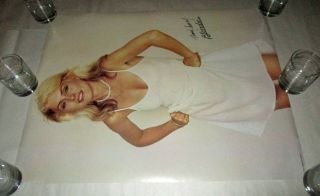 Blondie RARE 1979 Parallel Lines PROMO USA Poster 22 