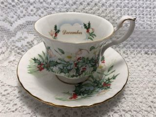 Royal Albert Wild Flower Of The Month December Tea Cup And Saucer Set