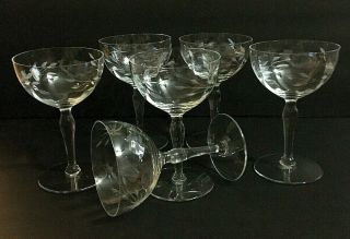 Vintage Panel Etched Champagne Cocktail Coupes Glasses Set Of 6